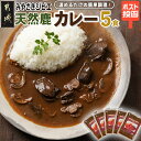 【ふるさと納税】トプカ☆みやざきジビエ天然鹿カレー5食セット※ポスト投函 - カレー専門店トプカ 手づくりカレー 鹿肉 ジビエカレー 肉 高タンパク 低カロリー 鉄分が豊富 20種類以上のスパイス 常温配送 送料無料 LD-J906 【宮崎県都城市は2年連続ふるさと納税日本一！】