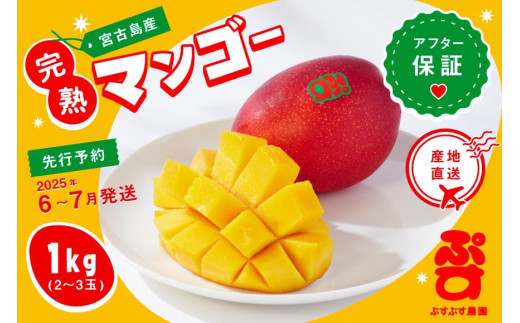 【ぷすぷす農園】宮古島産完熟マンゴーお中元セット(家庭用／1キロ×10セット／農園直送)
