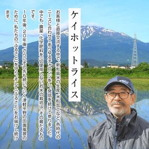 ≪新米≫ 令和6年産 津軽産米 「まっしぐら」10kg（精米 5kg×2袋） 【ケイホットライス】 F6N-118