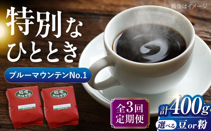 
            【全3回定期便】ブルーマウンテン NO.1 コーヒー ( 浅煎り ) 《豊前市》【稲垣珈琲】 珈琲 コーヒー 豆 粉 [VAS149]
          