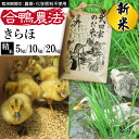 【ふるさと納税】 ふるさと納税 おすすめ 令和6年産 きらほ 精米 合鴨農法 武田家のお米 5kg 10kg 20kg 送料無料 白米 米 あい鴨 カモ アイ鴨 鴨 選べる 5キロ 10キロ 20キロ 国産 美味しい 少量 産地直送 農家直送 お米 ご飯 白飯 おにぎり 岩手県産 岩手県 滝沢市