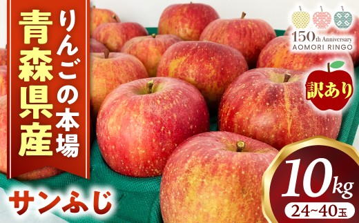 【訳あり】りんご【サンふじ】約10kg（24～40玉）【2025年産・先行予約】★2026年1月以降順次発送予定★ アップル 林檎 フルーツ 果物 果実  産地直送 農家直送 送料無料 青森県三戸町 R0332