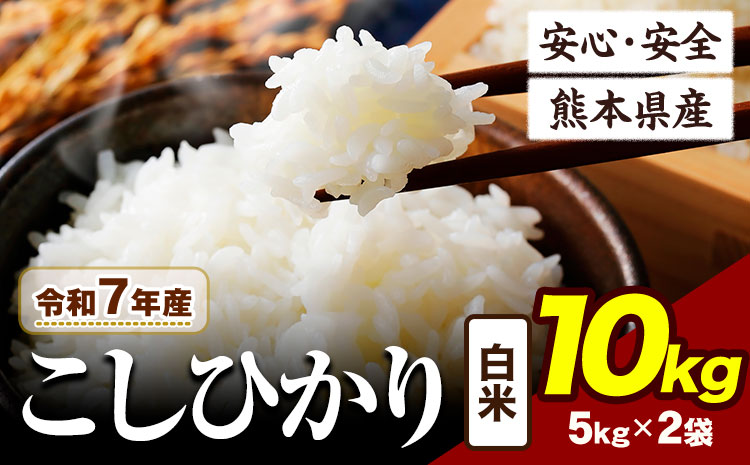 令和7年産  こしひかり 10kg 《7-14日以内に出荷予定(土日祝除く)》令和7年産 熊本県産 ふるさと納税  白米 精米 ひの 米 こめ ふるさとのうぜい コシヒカリ コメ お米 おこめ ---ubuyama_lcl_875_10kg---