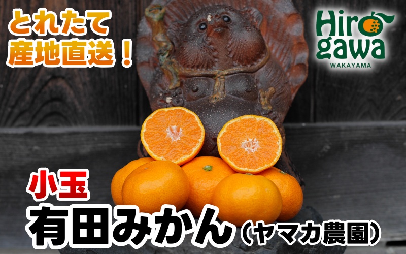 有田 みかん 小玉 2kg / 温州みかん 有田みかん 甘い 小粒 和歌山 柑橘 ※12月上旬〜1月上旬に順次発送 【ymk004-2-s】