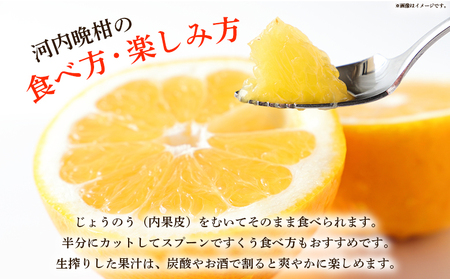 ＜愛媛県産 河内晩柑 約8kg（M～2L）＞ 柑橘 みかん フルーツ 和製グレープフルーツ ジューシー 初夏 旬 サイズ混合 西宇和 国産 さっぱり 甘い 農園オレンジとムラサキ 西予市【常温】『20