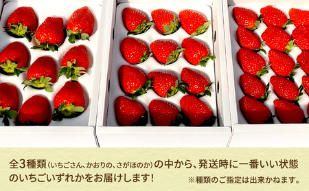 いちご 佐賀県産 果物 フルーツ いちご【約300〜350g 1箱】【先行予約】