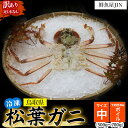 【ふるさと納税】【鮮魚屋JIN】冷凍 ボイル松葉ガニ（ 中サイズ 500g ~ 700g ） ハーフポーション 下処理済み 真空冷凍 カニ かに 冷凍松葉ガニ 松葉がに 松葉ガニ ズワイガニ ずわいがに 冷凍ガニ 冷凍かに