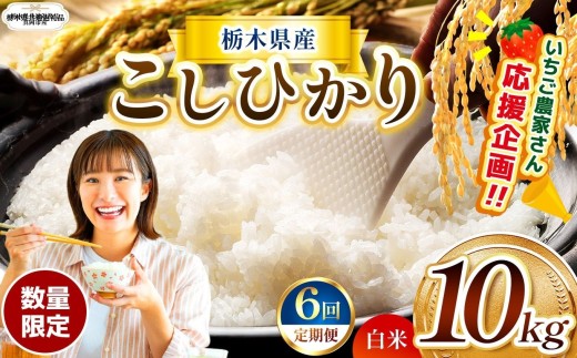 【栃木県共通返礼品】【先行予約】【定期6回】数量 限定 訳あり 定期便 令和8年度 栃木県産 コシヒカリ 約 10kg | 数量限定 こしひかり 精米 白米 米 ごはん おいしい okome kome お米 コシヒカリ ふるさと納税 那珂川町 栃木県