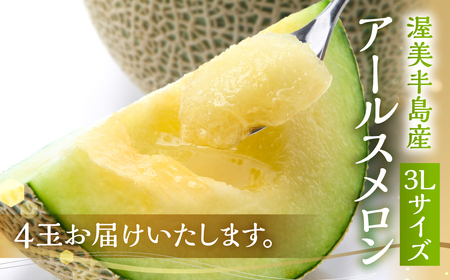 日研農園 アールスメロン　3L×4玉入 【先行予約】 めろん フルーツ 果物 ジューシー 愛知県 特産品 産地直送 田原市 渥美半島