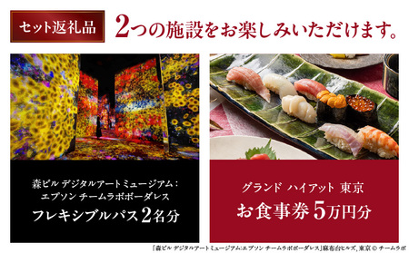 【ヒルズ周遊（麻布台・六本木）ペア体験】チームラボボーダレス／グランド ハイアット 東京 食事券