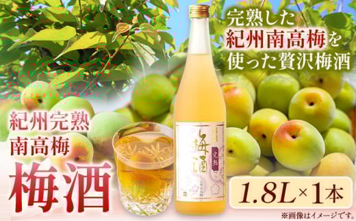 梅酒 紀州完熟南高梅 梅酒 1.8L 酒のねごろっく《90日以内に出荷予定(土日祝除く)》和歌山県 岩出市 梅酒 梅 うめ 紀州南高梅 1.8L  和歌山県 岩出市 酒 おつまみ おさけ お酒  日本酒 和歌山  清酒蔵元 燗酒 吟醸酒  リキュール カクテル 晩酌 わかやま 和歌山のお酒 和歌山 地酒 贅沢 贅沢梅酒