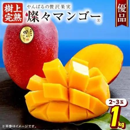 【ふるなびWEEK対象】【2026年7月から順次発送・優品】燦々マンゴー1.0kg(2～3玉)_マンゴー_【1619776】