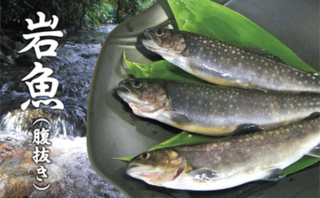 西塚農場産 岩魚冷凍10尾(腹抜き)