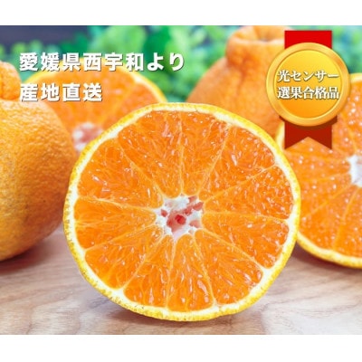 ＼糖度14.0以上 酸1.4以下/糖酸選別品 不知火 (しらぬひ) 3kg【C20−15】【配送不可地域：離島】【1094588】