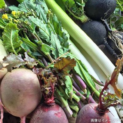 ふるさと納税 糸島市 旬 野菜+プレミアム野菜+果物 セット 熨斗付き オーガニックナガミツファーム[AGE022] |  | 01