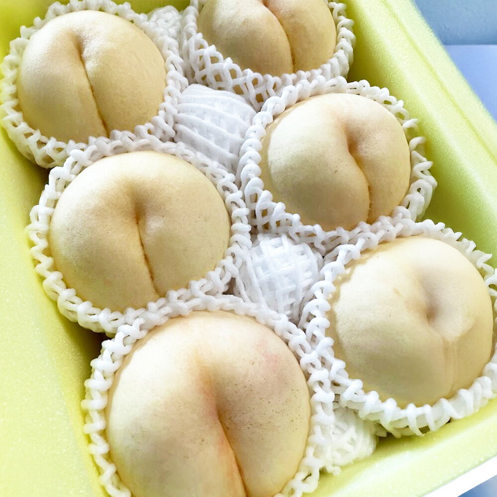 【ふるさと納税】【先行予約】希少品種 岡山の白桃 白露 〈選べる〉 約1.5kg箱 or 約2kg箱 桃 モモ ピーチ 果物 フルーツ おやつ デザート お取り寄せ 岡山県 美咲町 冷蔵 送料無料【2025年9月発送予定】