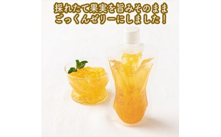 スイスで加工品を学んだ農家が作った『手づくりごっくんゼリー』 おまかせ20本セット 130ml みかん 甘夏 キウイ【 家庭用 自宅用 贈答品 贈答用 ギフト お取り寄せ お中元 お歳暮 贈り物 お祝