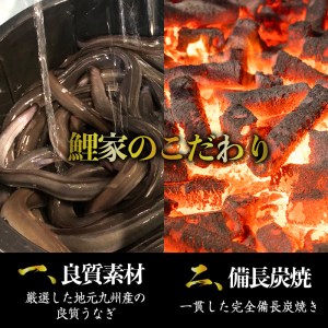 大人気！鯉家の極上蒲焼「大トロうなぎ蒲焼(８尾・1,240g［155g×８尾］)」【国産・手焼き備長炭】 1701-1