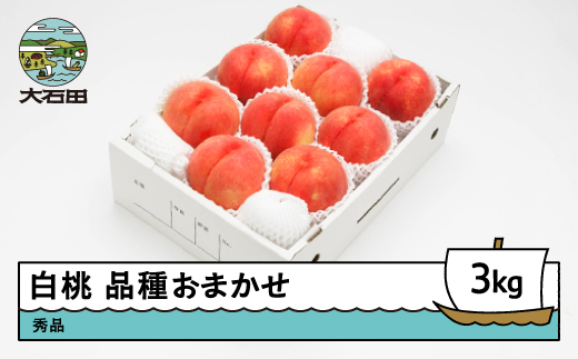 【先行予約】 もも 白桃 秀品 品種おまかせ 3kg 化粧箱入りフルーツ 果物 令和8年産 2026年産 山形県産 ns-mohtx3
