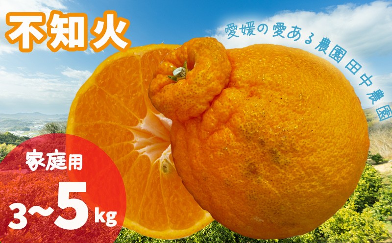 
                  【2027年2月下旬頃から順次発送】不知火 しらぬい  約3 / 5kg  家庭用でこぽんと同品種 愛媛産 愛媛県産 国産 愛媛みかん 愛媛蜜柑 愛媛ミカン みかん ミカン mikan 柑橘類 先行予約 訳アリ ワケアリ 蜜柑 柑橘 フルーツ 果物 くだもの お取り寄せ 産地直送 数量限定 人気 おすすめ 愛媛県 松山市 田中農園 
                