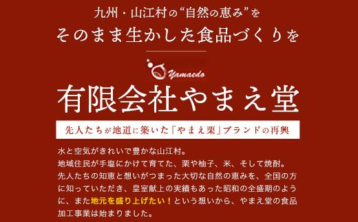 熊本県山江村産 やまえ栗きんとん5本セット 有限会社 やまえ堂 《60日以内に出荷予定(土日祝除く)》栗きんとん 栗 くり
