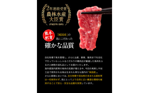 純国産馬肉8種セット 計2200g 馬刺し 馬肉 馬スジ ホルモン 霜降り ハンバーグ《60日以内に出荷予定(土日祝除く)》---oz_fba8syu_60d_22_25000_2200g---