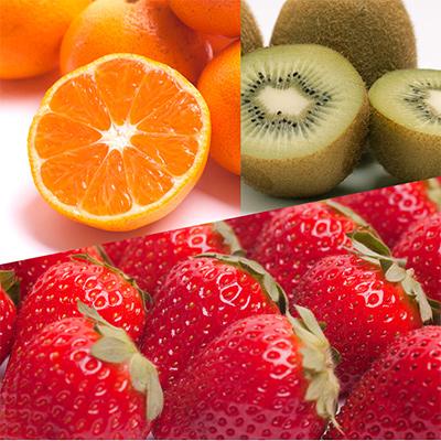 ふるさと納税 印南町 【発送月固定定期便】フルーツ定期便B【フルーツ定期便】【和歌山県有田】全6回 |  | 02