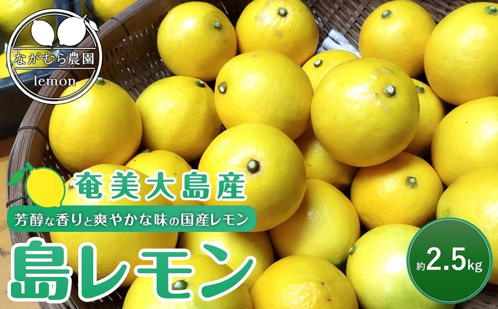 
            奄美大島産 島れもん 2.5kg＜芳醇な香りと爽やかな味の国産レモン＞|レモン れもん 檸檬 柑橘 フルーツ ふるーつ 果物 くだもの
          
