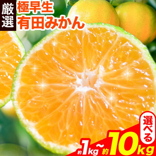 【ふるさと納税】先行予約 プレミアム 極早生有田みかん 1kg 2.5kg 5kg 10kg 各＋250g (傷み補償分)【YN26・ゆら早生】池田鹿蔵農園 日高町（池田農園株式会社）《2026年10月上旬-11月中旬頃出荷》和歌山県 日高町【配送不可地域あり】
