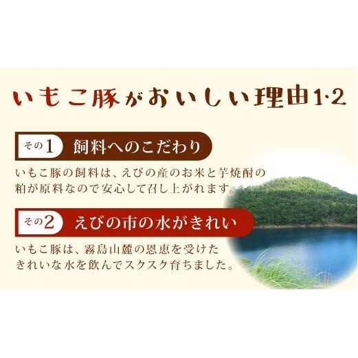 【6回定期便】豚肉 宮崎県産 いもこ豚 しゃぶしゃぶ セット 3kg × 6回 総合計 18kg しゃぶしゃぶ用 切り落とし 小分け 豚 豚バラ ロース 肩ロース スライス 小間切れ 鍋 鍋用 国産 