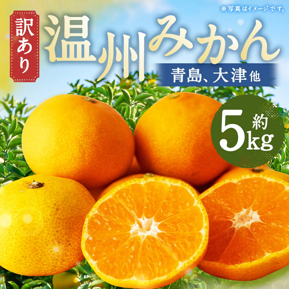 【ふるさと納税】【訳あり】 長崎県時津町産 温州みかん（青島、大津他） 計約5kg 2L～3Lサイズ ミカン 蜜柑 くだもの 果物 果実 フルーツ 長崎県産 国産 九州 長崎県 時津町 送料無料 【2025年12月下旬～2026年1月下旬迄発送予定】