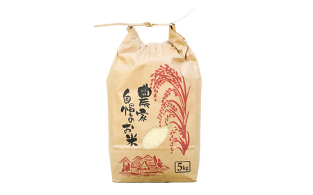 コシヒカリ(従来品種)  先行予約 新潟県産 コシヒカリ 5kg コシヒカリ 2025年産 コシヒカリ 白米 コシヒカリ [飯塚農園] 