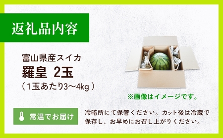 【先行予約】富山県産スイカ 羅皇 中玉 2玉 （3-4kg/玉） 【2026年8月以降順次発送】 スイカ 夏 果物 フルーツ 富山県 氷見市