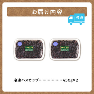 【令和６年産　先行受付】とかちしみず フルーツガーデン の ハスカップ 1kg 【 500g × 2 生 果物 フルーツ ジャム 甘酸っぱい 冷凍 お取り寄せ 北海道 清水町  】_S009-0002