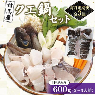 ふるさと納税 対馬市 【毎月定期便】対馬産クエ鍋セット600g(2〜3人前)全3回