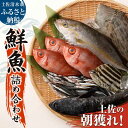 【ふるさと納税】旬の朝獲れ鮮魚詰め合わせ【以布利定置網　漁師直送】朝獲れ 鮮魚ボックス 旬 鮮魚 3～4人分 魚介 海鮮 魚 さかな せんぎょ サバ タイ アジ 鮮魚セット 詰め合わせ おまかせ お任せ 故郷納税 高知県 土佐清水市 送料無料 高知【S00818】