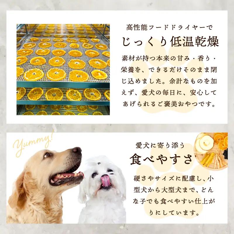 ペットフード 犬用おやつ ペットフード ドライフルーツ