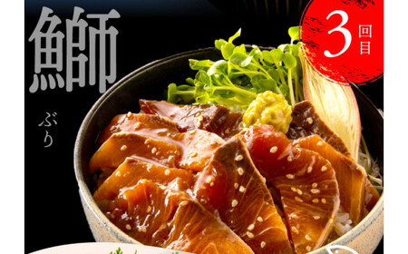 《4ヶ月定期便》芸西村人気海鮮の4ヶ月定期便【漬け丼】