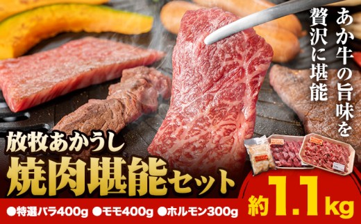 うぶやま村 放牧 あか牛 焼肉 堪能セット 1.1kg 焼肉正 特選バラ モモ ホルモン 赤身 詰め合わせ セット BBQ 焼き肉 和牛 牛肉 牛 国産 あか牛 くまもとあか牛 大容量 ギフト 詰め合わせ 贈り物 お歳暮 熊本 阿蘇 産山村 《60日以内に出荷(土日祝除く)》【配送不可地域あり】