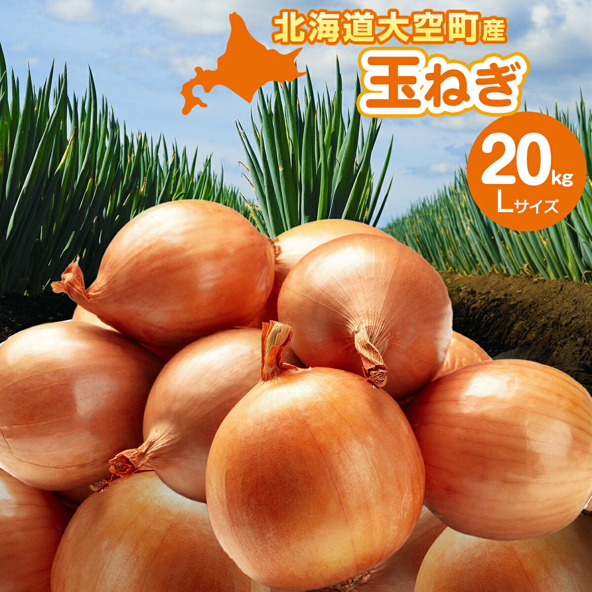 【ふるさと納税】【先行予約】玉ねぎ Lサイズ 20kg 大空町産（2025年10月上旬より発送） 【 ふるさと納税 人気 おすすめ ランキング たまねぎ 玉ねぎ タマネギ 20kg L サイズ 甘い カレー 北海道産 野菜 旬 北海道 大空町 送料無料 】 OSR009