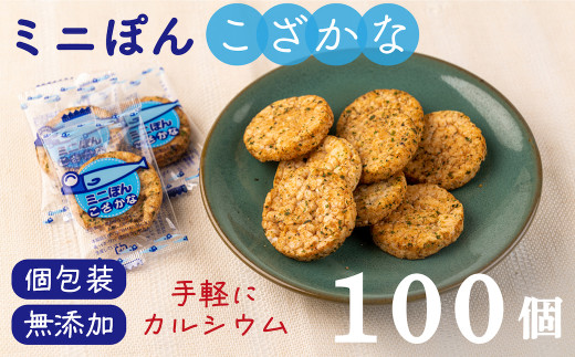 サンタランド　無添加おやつ「ミニぽん こざかな」100個