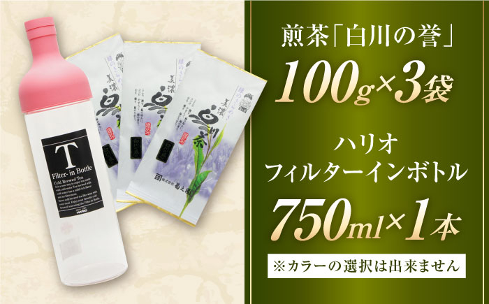 お茶 煎茶 白川茶 茶葉 ギフト 白川町 ボトル付き ボトル 手軽 水出し煎茶 冷茶 緑茶 高級 新茶 希少 セット
