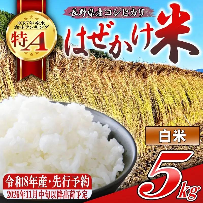 【令和8年産・白米５kg】長野県産こしひかり はぜかけ米（北海道・沖縄県・離島は配送不可）  【先行予約・2026年11月下旬以降発送】　精米 2026年産 産地直送 信州 長野県 佐久市 美味しい うるち米 先行予約