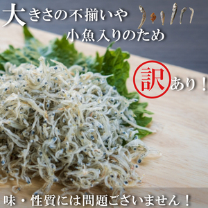 訳あり ちりめんじゃこ 冷凍 小分け 100g×5P ちりめん じゃこ 海鮮 海産物 ふりかけ 佃煮 つくだに 魚 海鮮 ごはん 米 しらす おやつ さかな ご飯のお供 海の幸 魚介類 チャーハン 乾