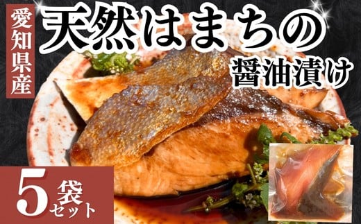 岬だよりの 天然はまちの醤油漬け 5袋セット＜個包装＞ 魚 魚介類 海鮮 お魚 はまち ハマチ 漬け丼にも 天然 国産 美味しい魚 コメ お米に合う 愛知 南知多