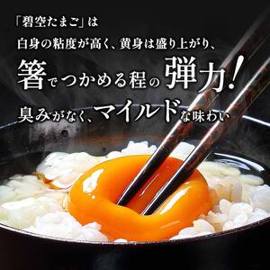 【6回定期便】ビタミンＥ豊富な「碧空たまご」80個入り Lサイズ タマゴ 卵 玉子 たまご F23R-937