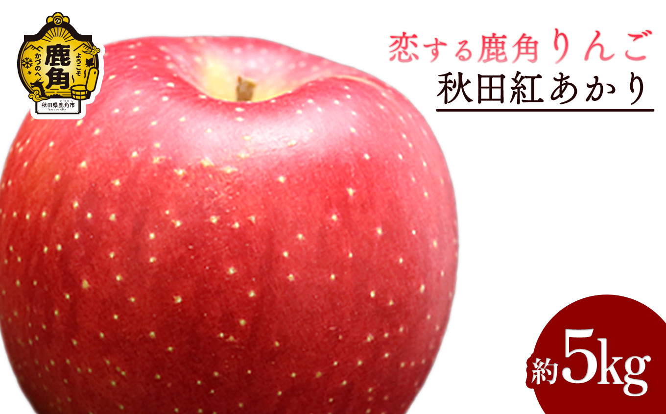 
            《 先行予約 》令和7年産 秋田県鹿角産りんご「秋田紅あかり」 約 5kg【恋する鹿角カンパニー】●2025年11月中旬発送開始 かづのりんご 食感 果汁 さっぱり リンゴ 完熟 旬 りんご 林檎 お中元 お歳暮 贈り物 お見舞い グルメ ギフト 故郷 秋田 あきた 鹿角市 鹿角 紅あかり 送料無料 
          