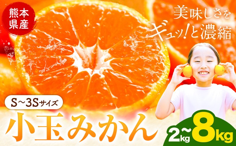 
                  先行予約 小玉みかん 選べる内容量 2kg 4kg 8kg 旬 みかん《9月下旬-12月下旬頃出荷》熊本県 南関町 ご家庭用 熊本県産 S-3Sサイズ フルーツ 柑橘 温州みかん 早生 中生 晩生 ジュース ゼリー 訳あり 小玉 熊本
                