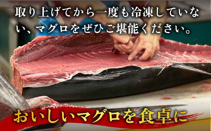 【全6回定期便】五島列島産 養殖 生本かみまぐろ 赤身 500g / まぐろ 鮪 刺身 ブロック