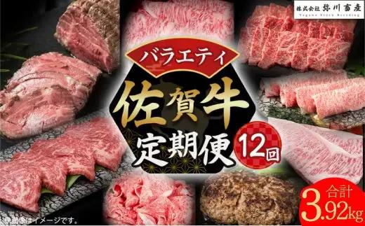 UB1x1 佐賀牛 バラエティ12回定期便 佐賀牛 ブランド牛 国産牛 牛肉 肉赤身 赤身肉 定期便 佐賀県 太良町